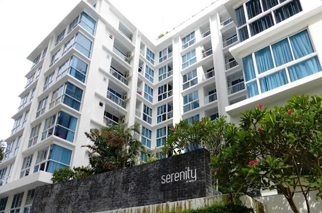 banner-project-details