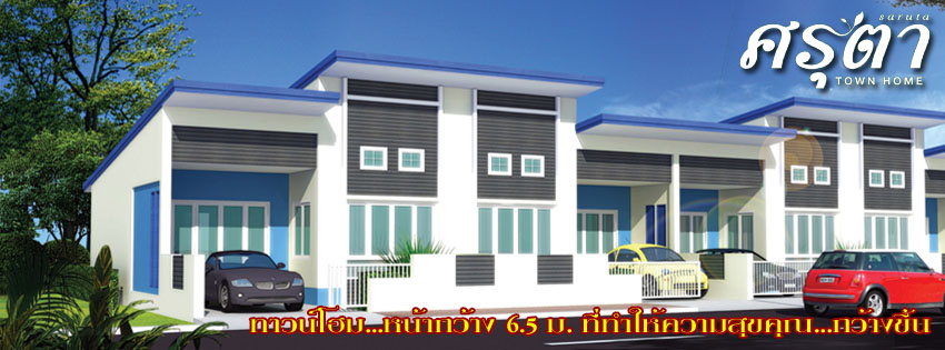 banner-project-details